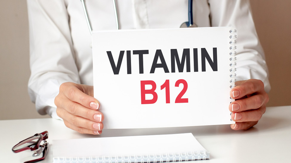 Fazit zum Stoffwechsel und Vitamin B12